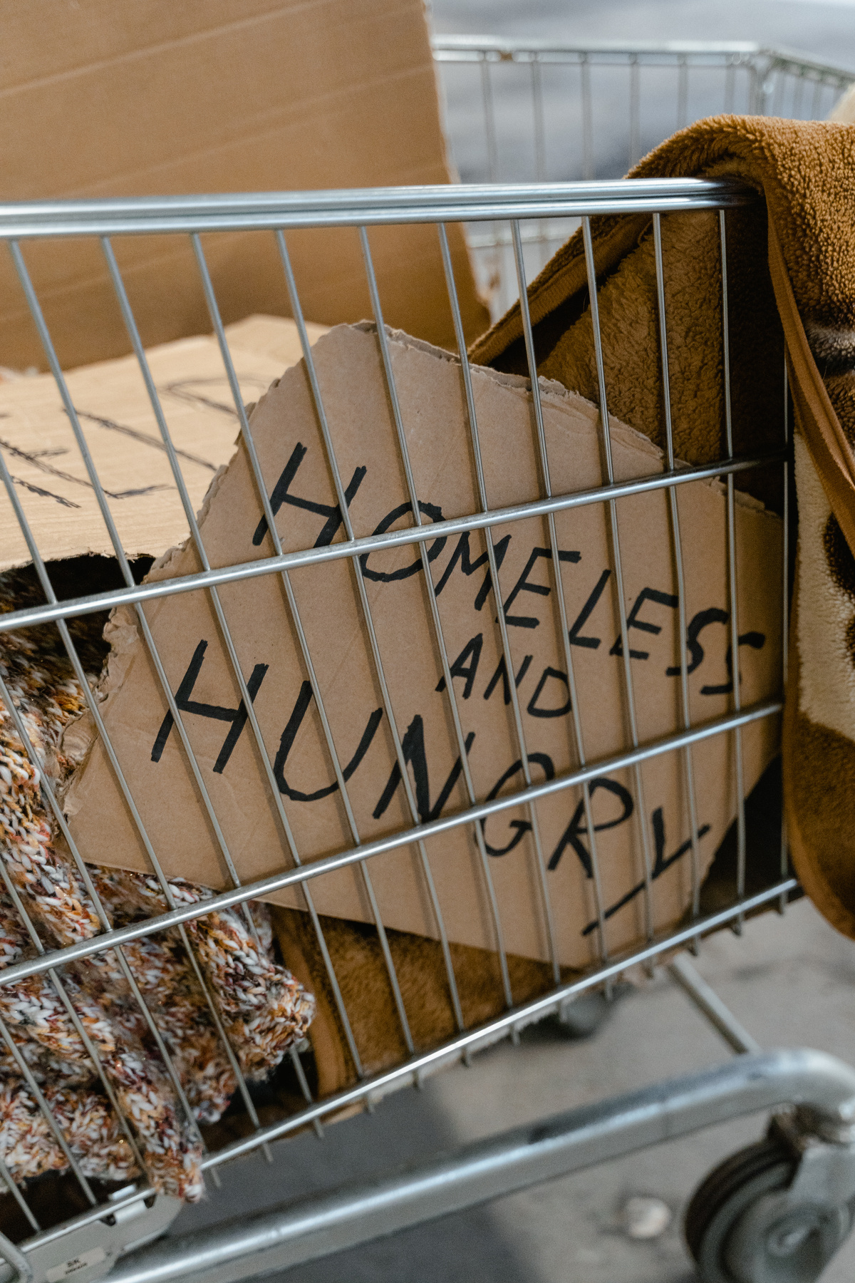 Cardboard Banner in a Grocery Cart